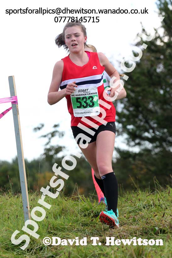 Girls under-15s, North East Harrier League, Cramlington. Photo: David T. Hewitson/Sports for All Pics